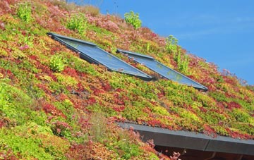 Shipton Solers living roof systems