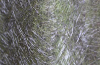 Shipton Solers fibreglass roof work